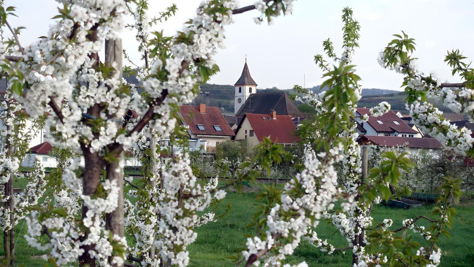 Ferienwohnung Fliegerhorst Endingen am Kaiserstuhl Exterior photo